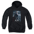 Batman v Superman Supe Poster - Youth Hoodie