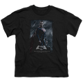 Batman v Superman Supe Poster - Youth T-Shirt