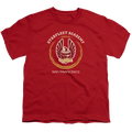 Star Trek The Original Series Academy Heraldry - Youth product image 1