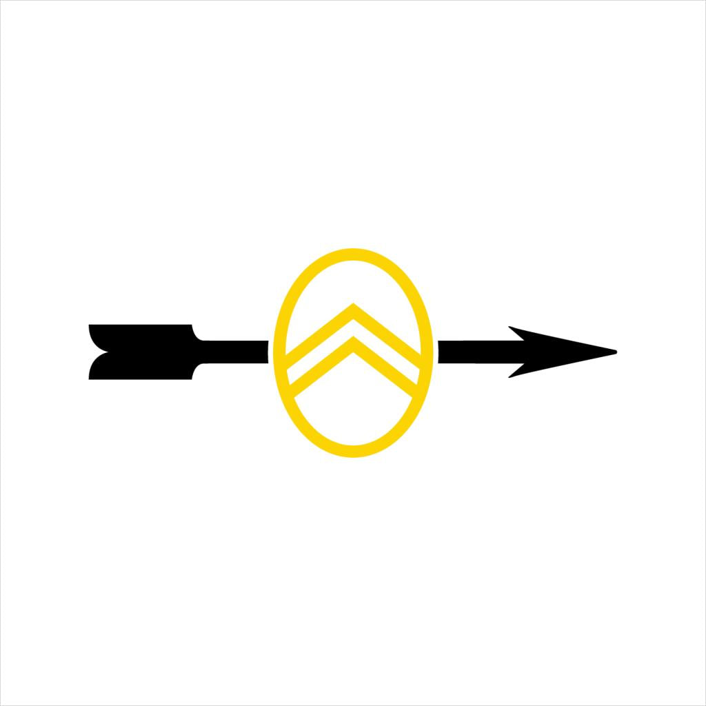 Citroën 1922 Badge Black Arrow Logo Women's Hooded product image 5