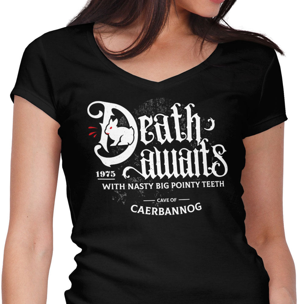 Death Awaits - Women's V-Neck product image 1