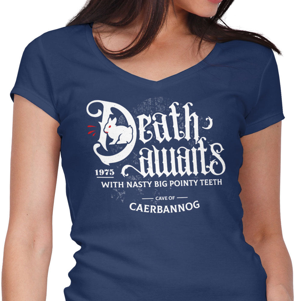 Death Awaits - Women's V-Neck product image 3