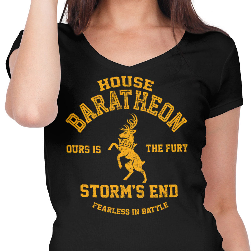 Ours is the Fury - Women's V-Neck product image 4