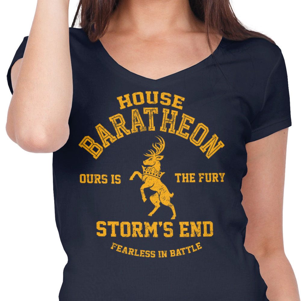 Ours is the Fury - Women's V-Neck product image 5