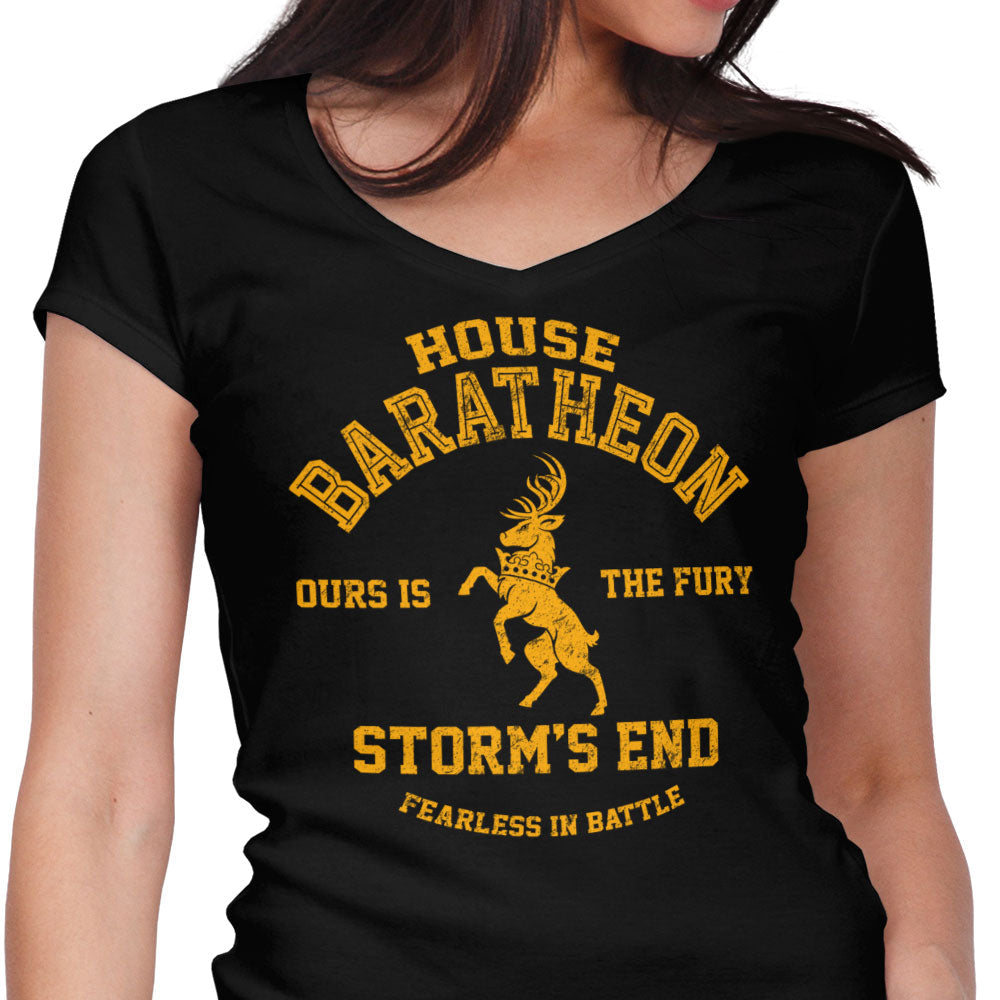 Ours is the Fury - Women's V-Neck product image 1