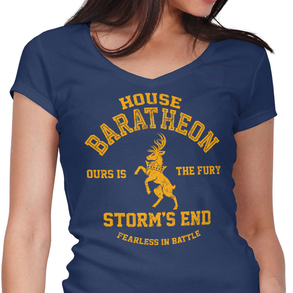 Ours is the Fury - Women's V-Neck product image 3