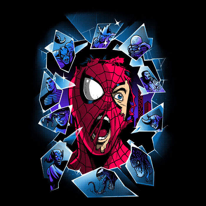 Shattered Spider - Canvas Print