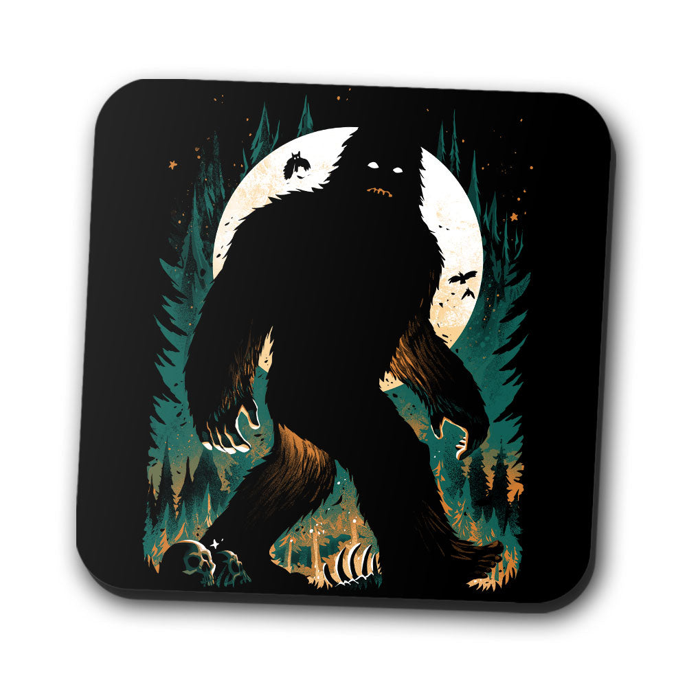 The Hidden One - Coasters product image 1