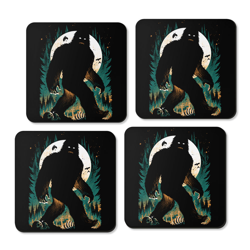 The Hidden One - Coasters product image 3