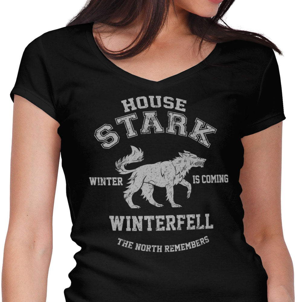 Winter is Coming - Women's V-Neck product image 1