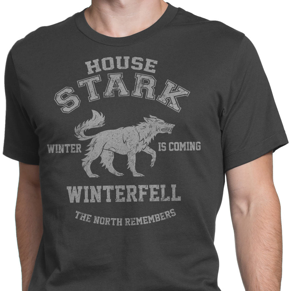 Winter is Coming - Men's Apparel product image 4