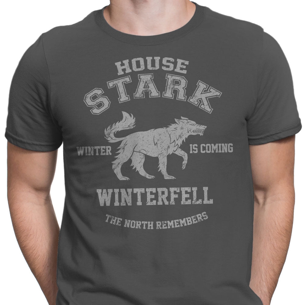 Winter is Coming - Men's Apparel product image 5