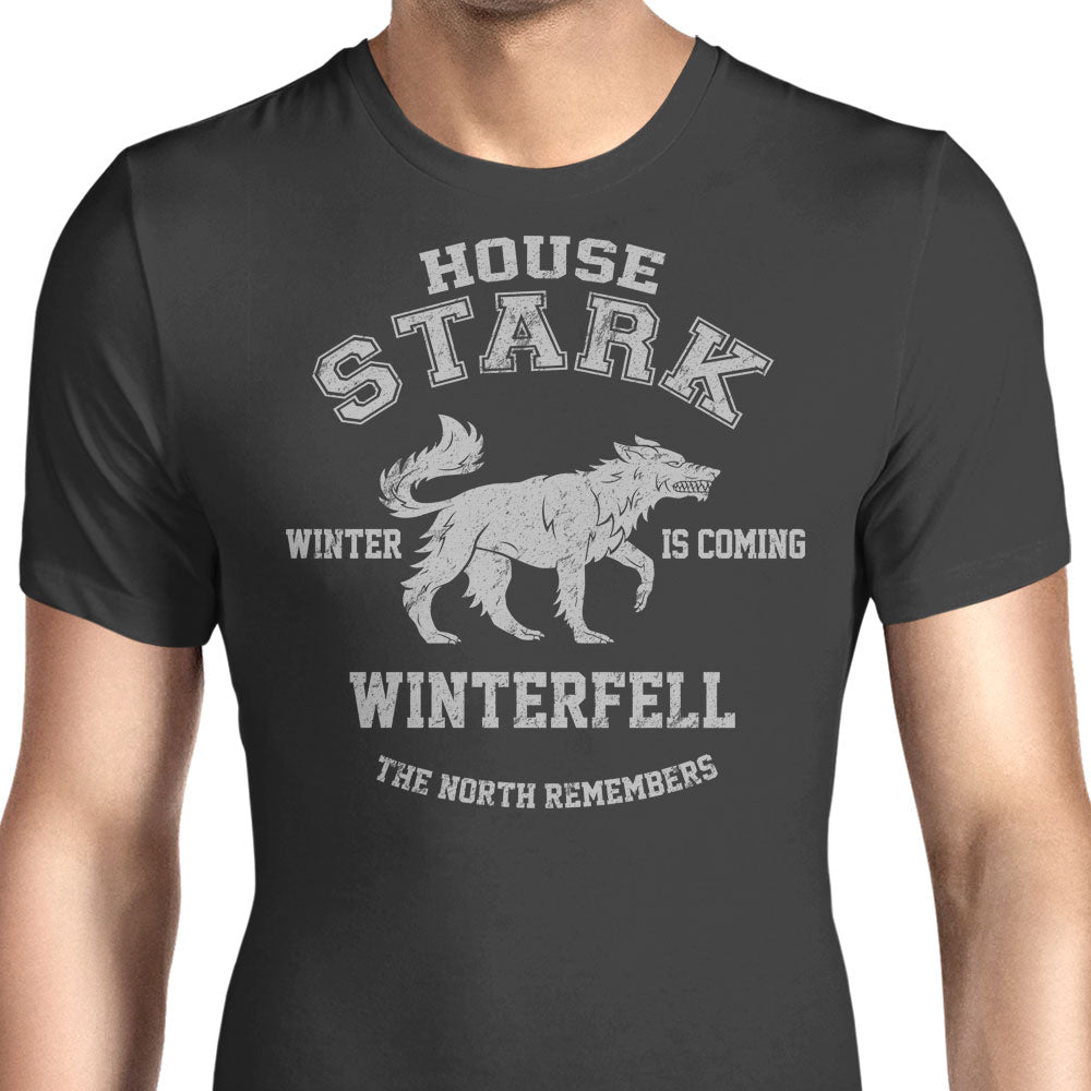 Winter is Coming - Men's Apparel product image 6