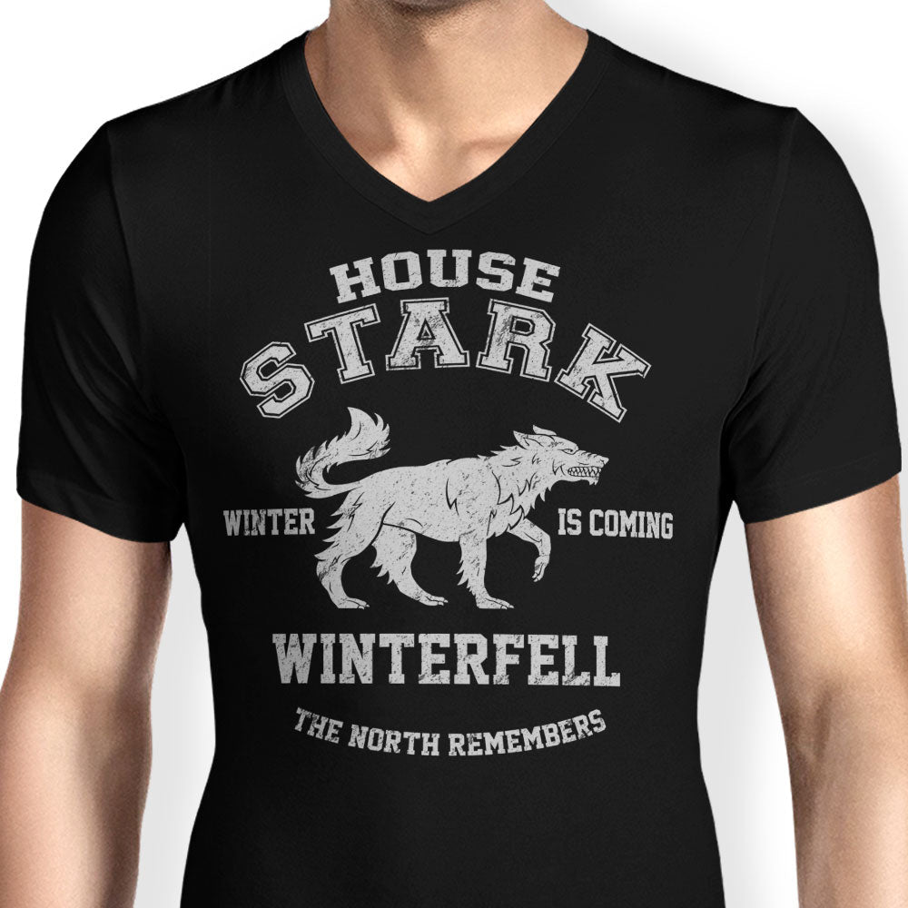 Winter is Coming - Men's V-Neck product image 4