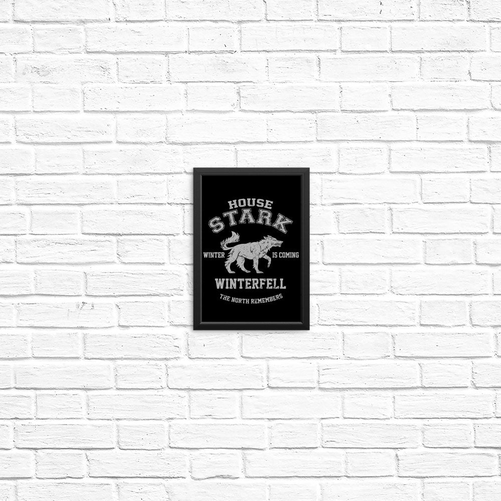 Winter is Coming - Posters & Prints