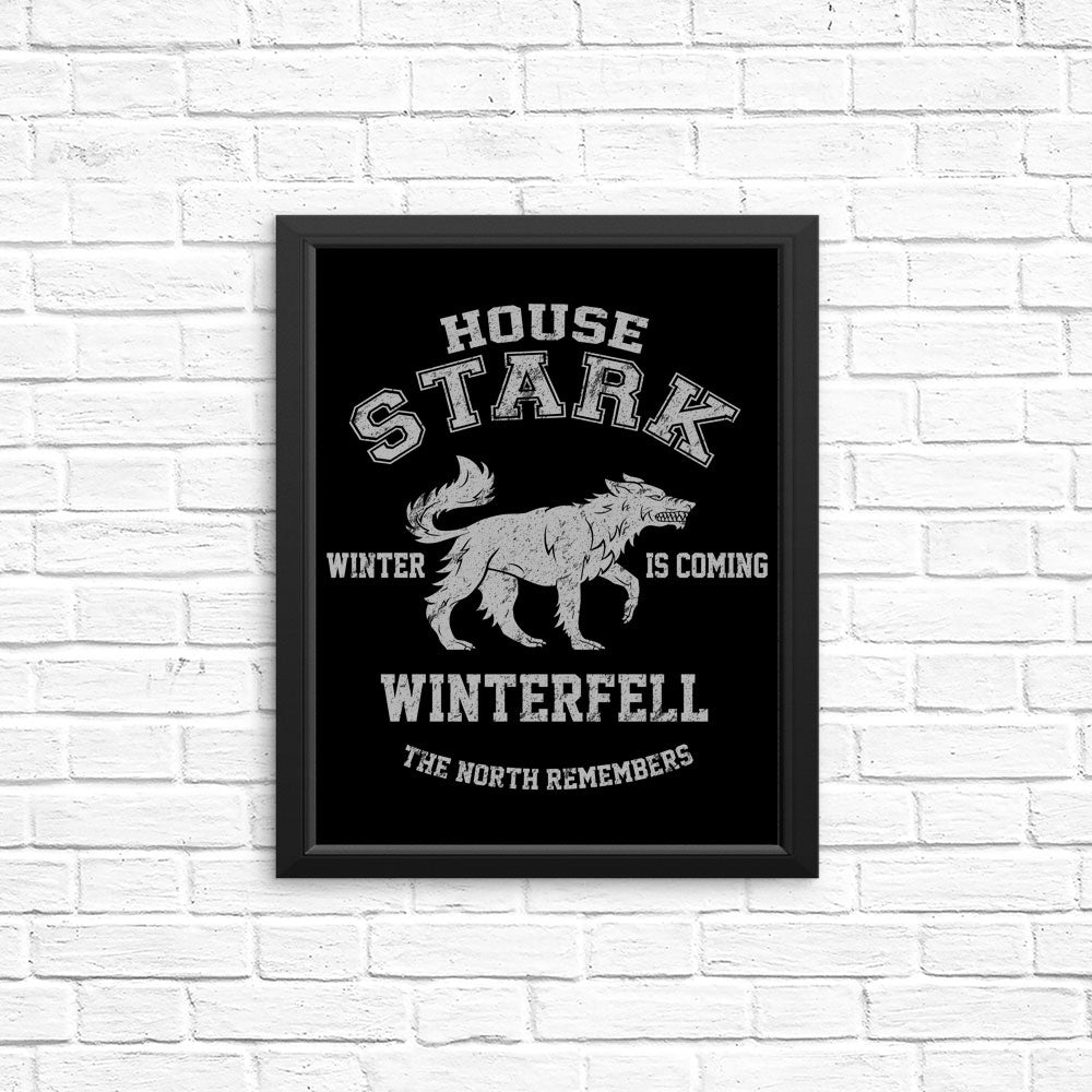 Winter is Coming - Posters & Prints