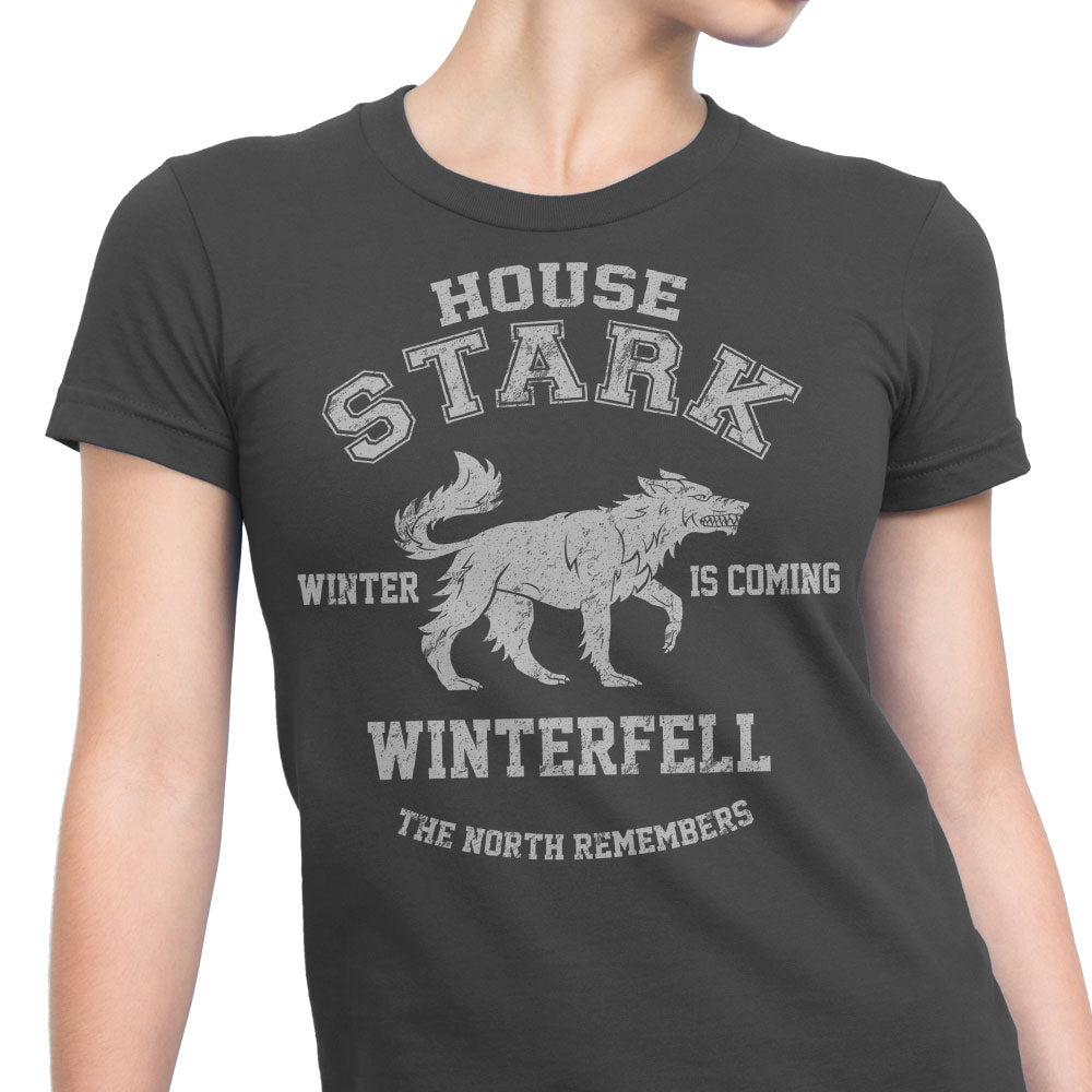 Winter is Coming - Women's Apparel product image 4
